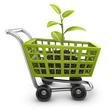 webshop specialista
